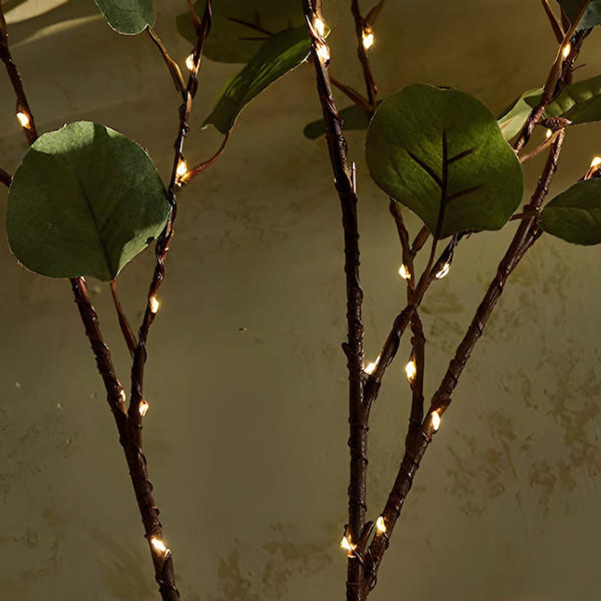 Olive Branch Decorative String Light