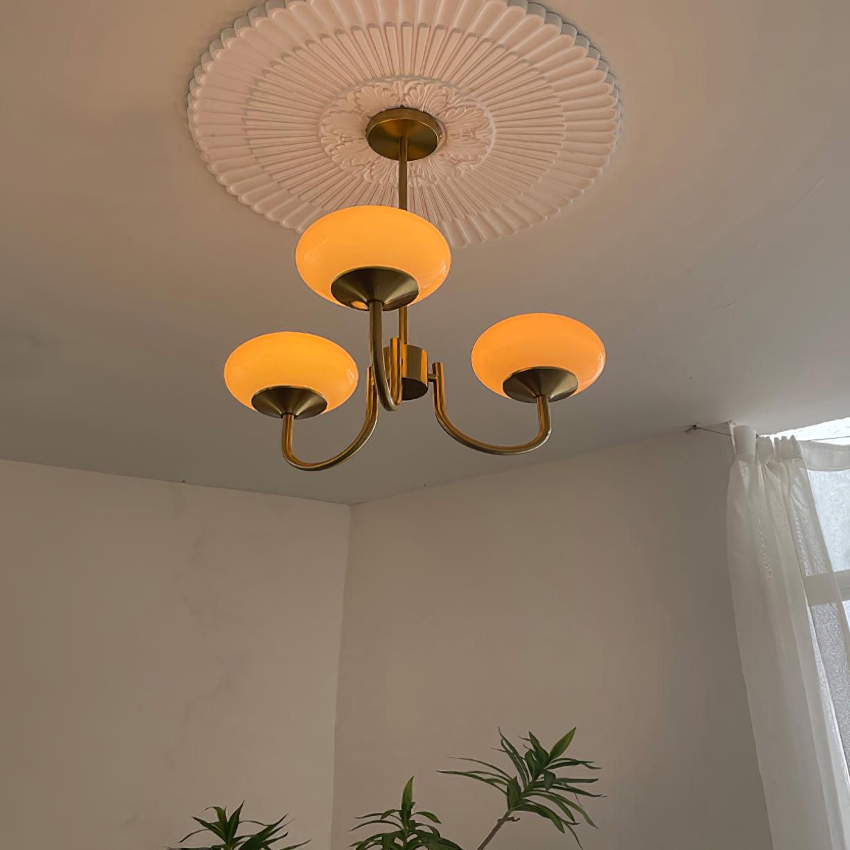 Globe Pendant Light With Metal Frame